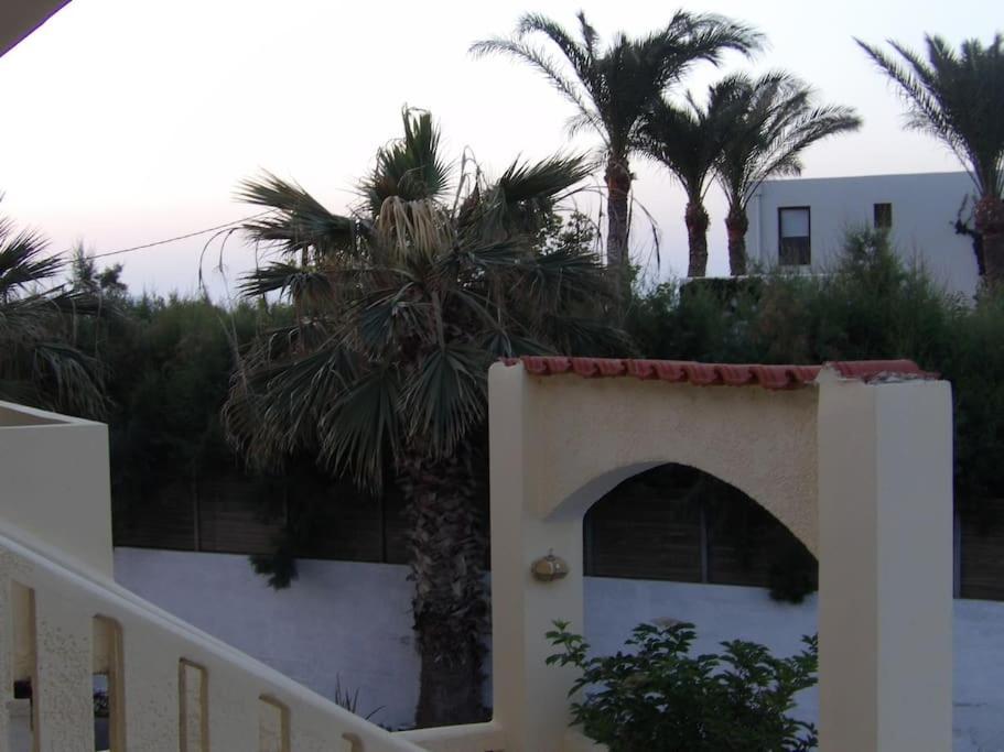 Teo 1 Apartament *