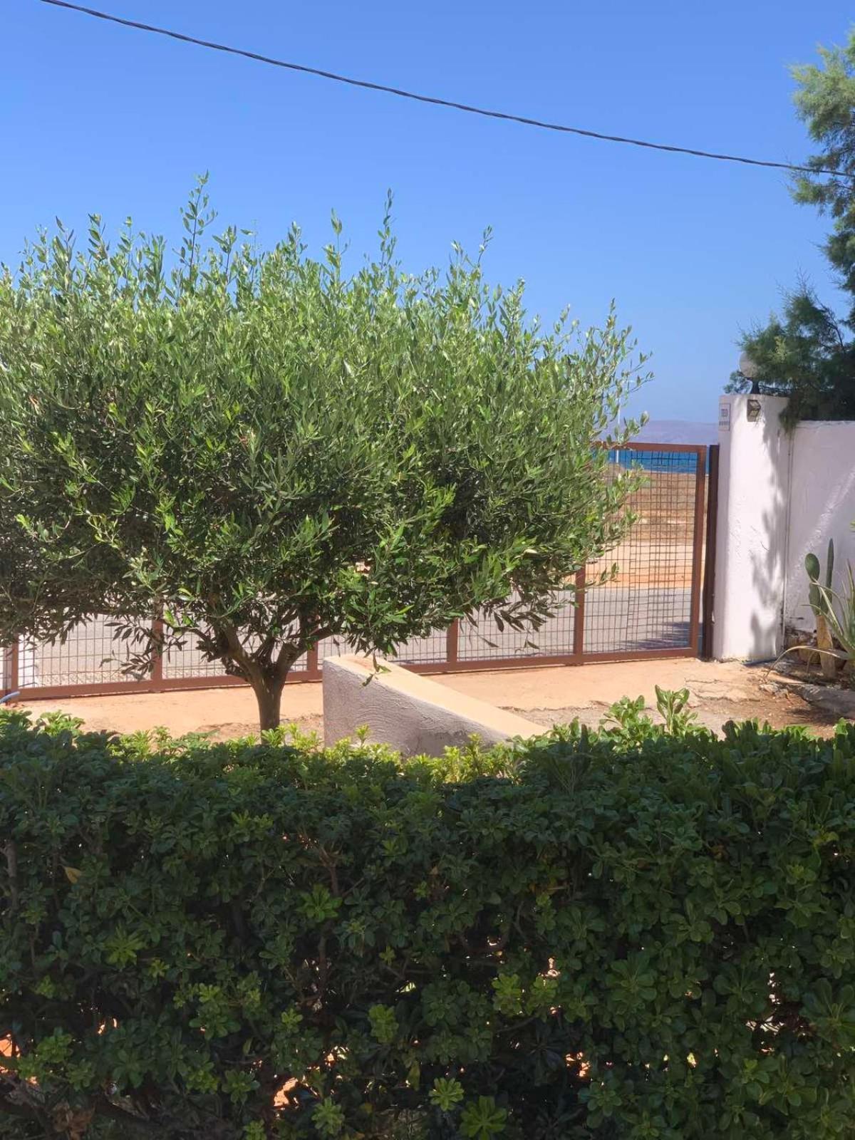 Teo 1 Apartament *